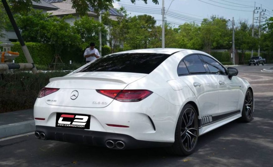 2019 Mercedes Benz CLS53 AMG 4MATIC+