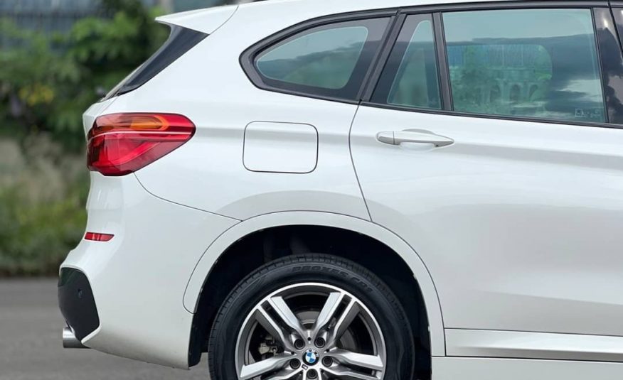 2019 BMW X1 sDrive20d M-Sport (F48)