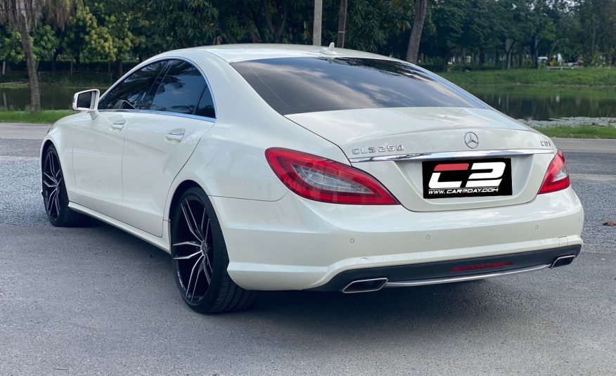 2013 Mercedes Benz CLS250 AMG