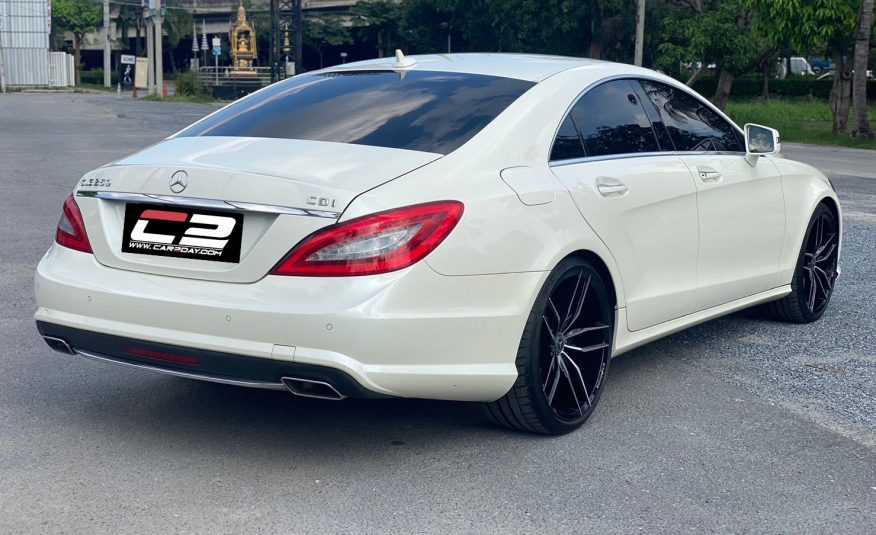 2013 Mercedes Benz CLS250 AMG