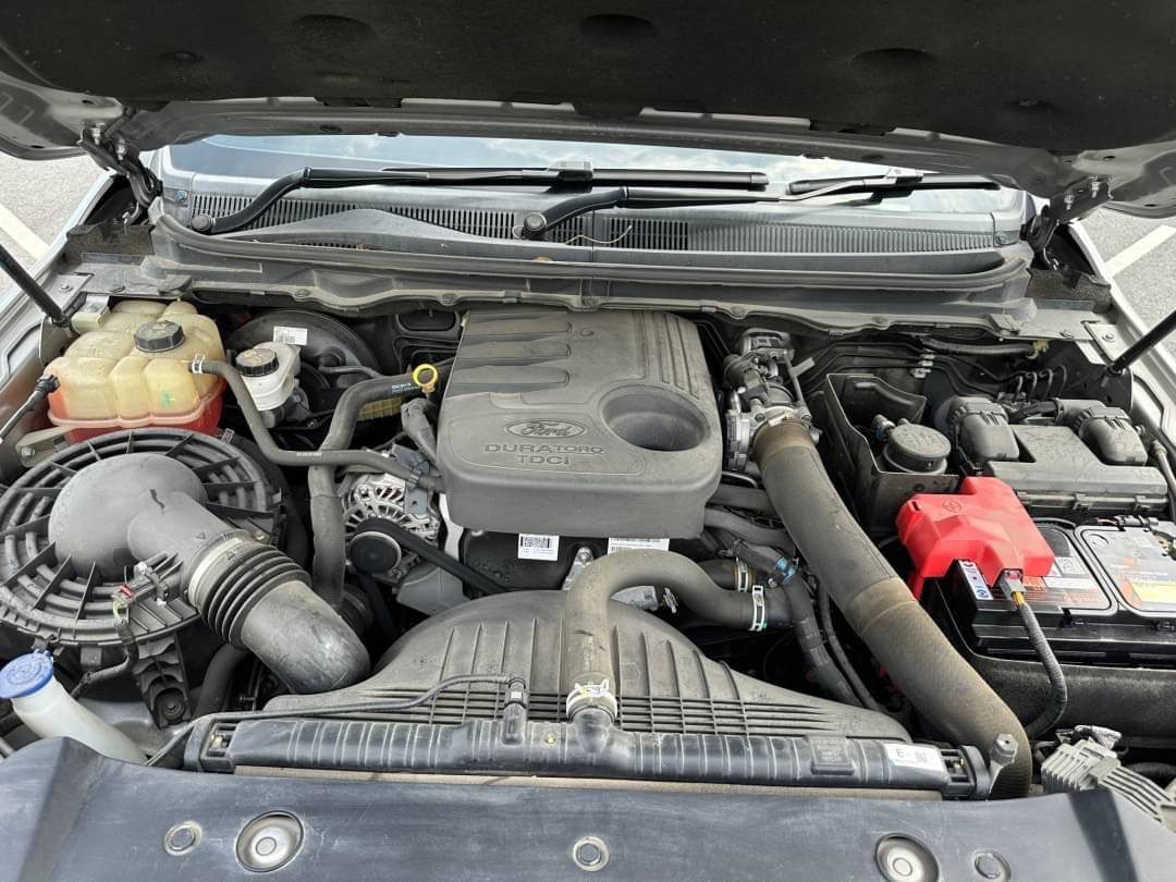 2019 FORD RANGER Pickup 4dr DCab Hi-Rider XLT Auto 6sp RWD 2.2DCT