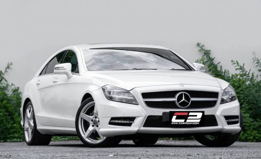 2013 Mercedes-Benz CLS 250 AMG Package