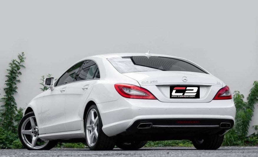 2013 Mercedes-Benz CLS 250 AMG Package