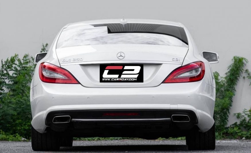 2013 Mercedes-Benz CLS 250 AMG Package