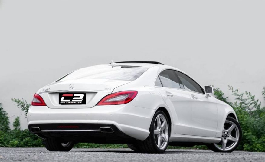 2013 Mercedes-Benz CLS 250 AMG Package