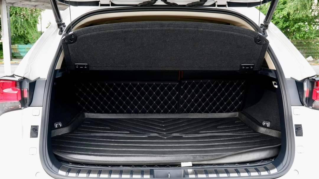 2018 Lexus NX300h Grand Luxury Fulloption Minorchange