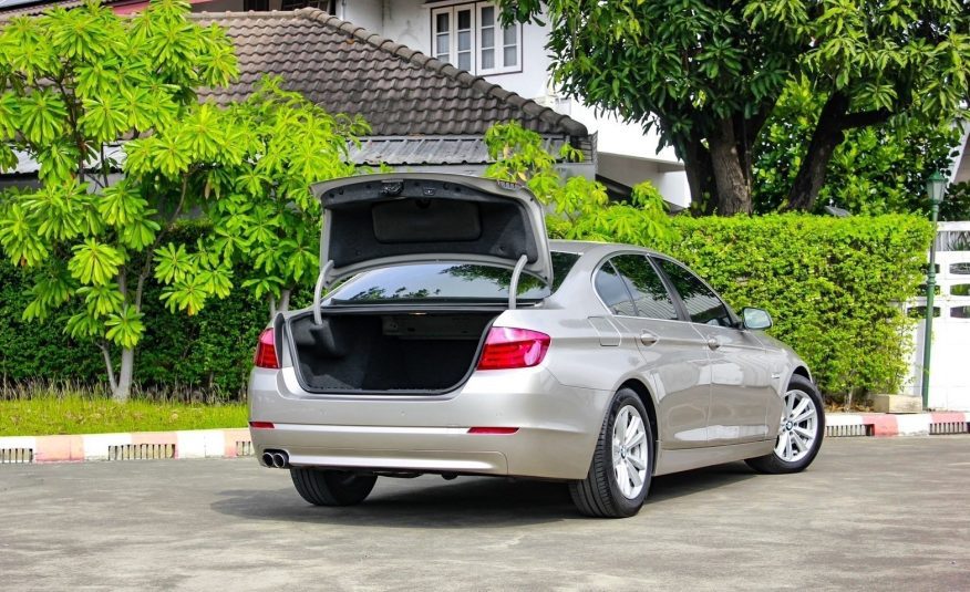 2014 BMW SERIES 5 520d