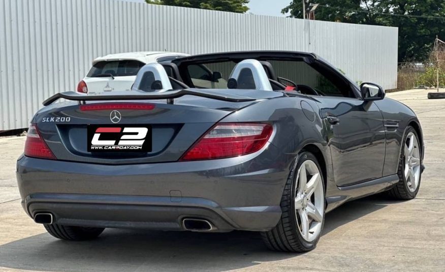 2014 Mercedes-Benz SLK200 AMG R172