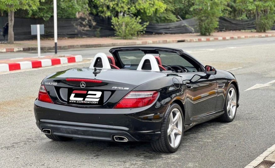 2013 Benz SLK250 R172