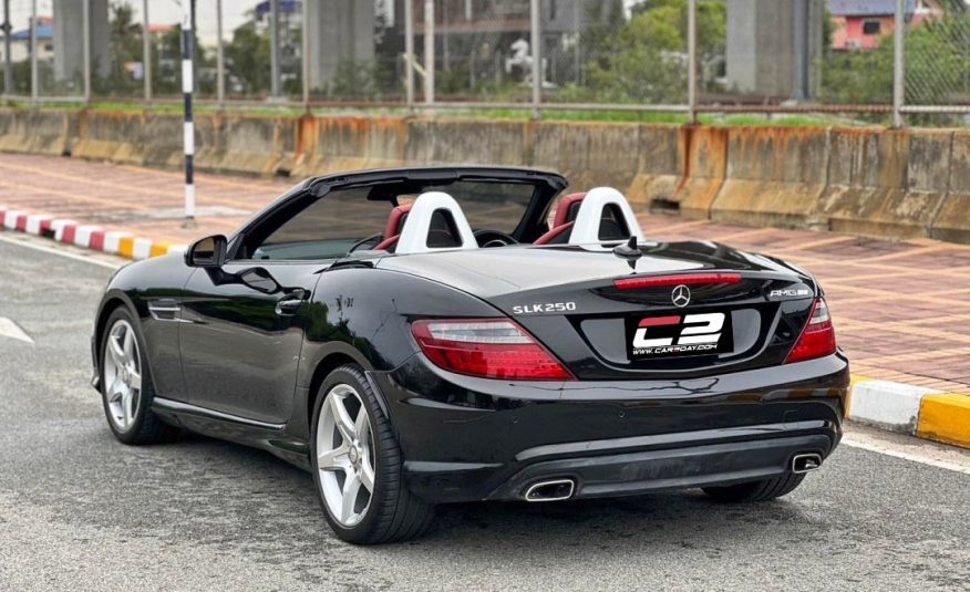 2013 Benz SLK250 R172