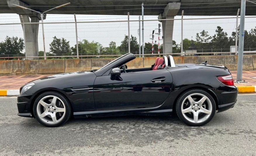 2013 Benz SLK250 R172